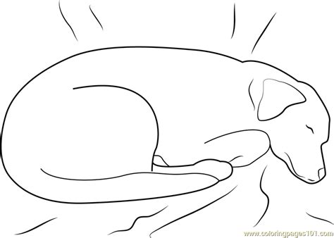 dog sleeping  bed coloring page  dog coloring pages