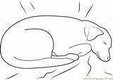 Dog Coloring Sleeping Bed Pages Coloringpages101 sketch template