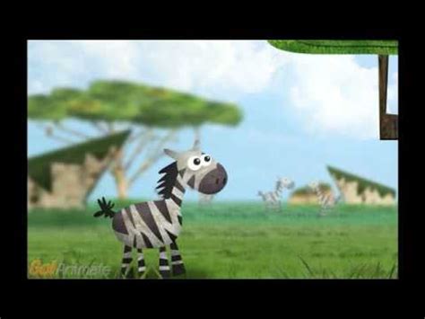 zebra  donkey youtube