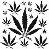Weed Leaf Marijuana Clipart Clip Drawing Sketch Pot Vector Hemp Drawings Stencil Weeds Tattoos Tattoo Small Cliparts Little Silhouette Pic sketch template