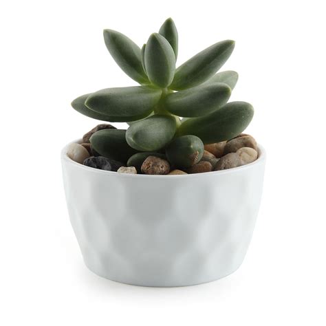 tu ceramic succulent plant pots mini flower planter pot white  bamboo tray ebay
