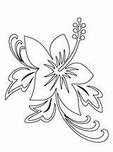 Hawaienne Tahiti Hibiscus Dedans Jolie sketch template