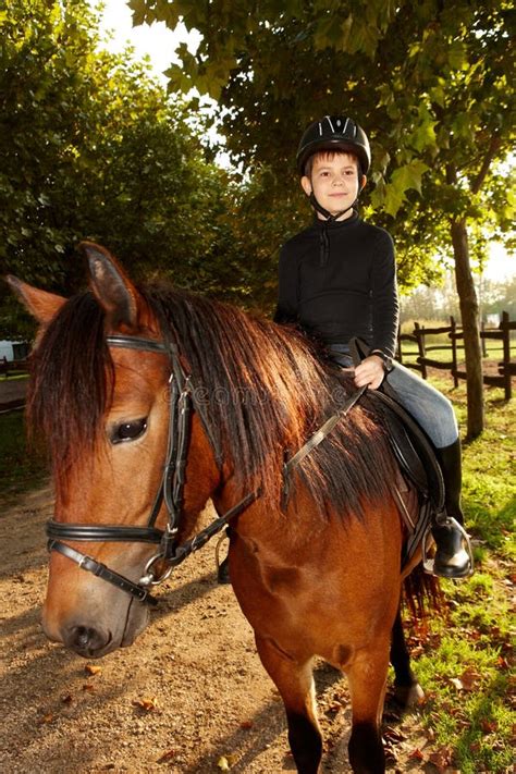 boy horseback riding   green stock image image