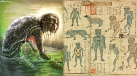 are these the bones of a water demon remains of mythological kappa to go on show in japan