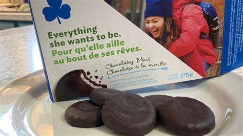 cookies  girl guides   mint cookie overload
