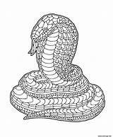 Zentangle Serpent Ausmalen sketch template