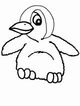 Penguin Coloring Cartoon Pages Clipart Animation sketch template