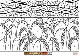 Coloring Wheat Pages Field Color Number Printable sketch template