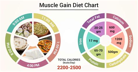 diet chart  muscle gain patient muscle gain diet chart lybrate