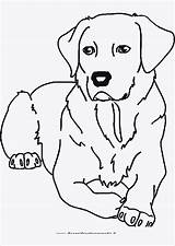 Ausmalen Tierbilder Tiere Kinderbilder Ausmalbilder Hunde Malvorlage sketch template