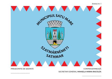 dezbatere publica cum sa arate steagul municipiului satu mare