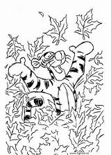 Colorat Tigrisor Tigru Plansa Intre Frunze Coloring Toamna Planse Tigger sketch template