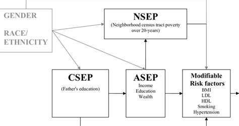 conceptual framework    pathways linking csep asep