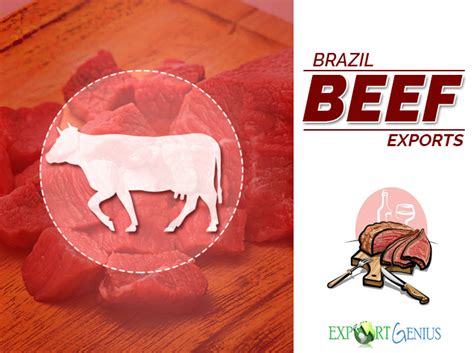 Brazil Beef Exports In 2017 List Of Best Beef Suppliers In Brazil