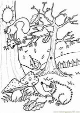 Woodland Coloring Pages Animal Animals Getcolorings sketch template