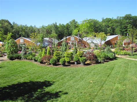 garden center shady hill greenhouses