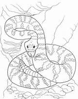 Coloring Snake Pages Printable Bull Template Popular sketch template