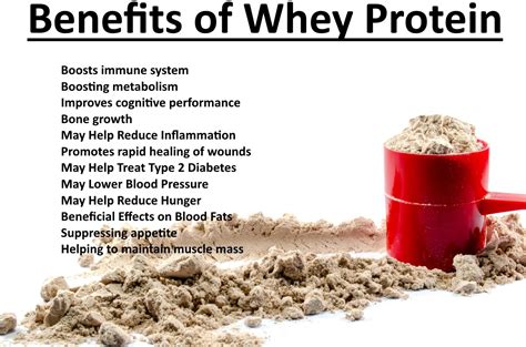Whey Protein Benefits Fresh Fitness