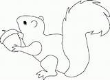 Coloring Squirrel Preschool Pages Popular Coloringhome Comments sketch template