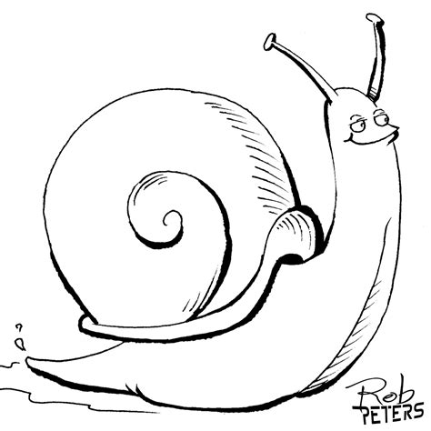 daily drawing snail  rob peters illustration blogrob peters illustration blog