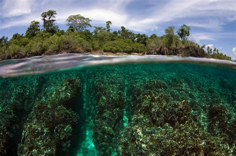informasi pulau samada besar wisata pulau taliabu provinsi maluku