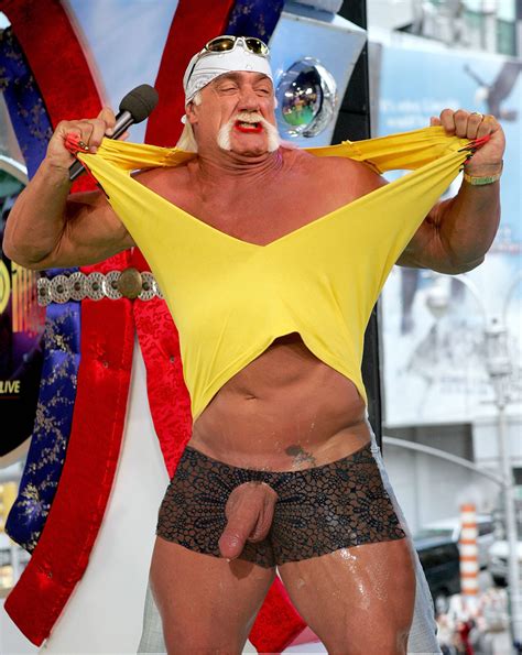 Post 1342223 Fakes Hulk Hogan Wrestling Wwe