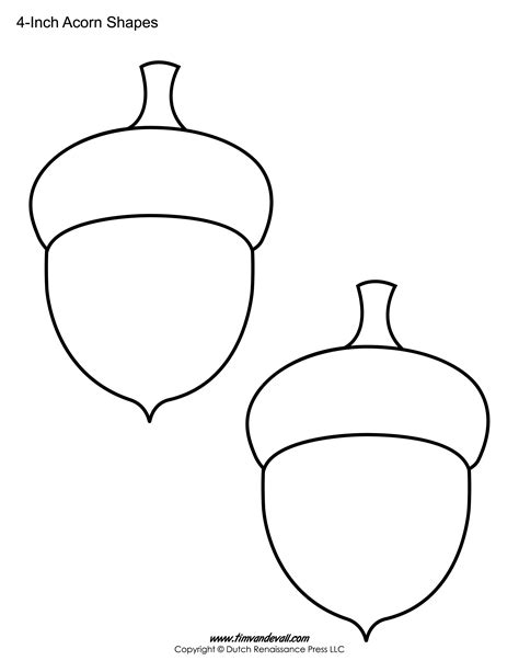 printable acorn template