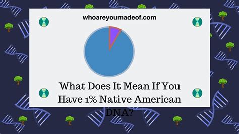 What Does It Mean If You Have 1 Native American Dna Who Are You