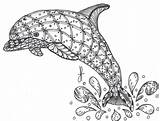 Coloring Dolphin Pages Colouring Books Choose Board Animal Book Zentangle sketch template