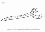 Worm Earthworm Draw Drawings Drawing Clipart Worms Step Cartoon Necessary Improvements Finally Finish Make Clipground Tutorials sketch template