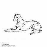 Greyhound Hound Outline sketch template