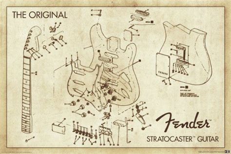 original fender stratocaster guitar diagram art print posteramazoncoukkitchen home