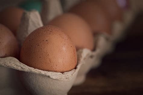 La Demada En El Mercado De Los Huevos Sigue Muy Activa