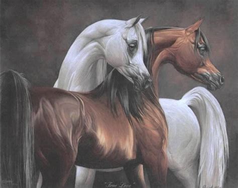 pin  audrey sturner  animals horses arabian arabian horse art