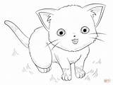 Anime Coloring Cat Pages Cute Drawing Animals Draw Chibi Easy Outline Printable Step Supercoloring Manga Getdrawings Tutorials Kids Color Template sketch template