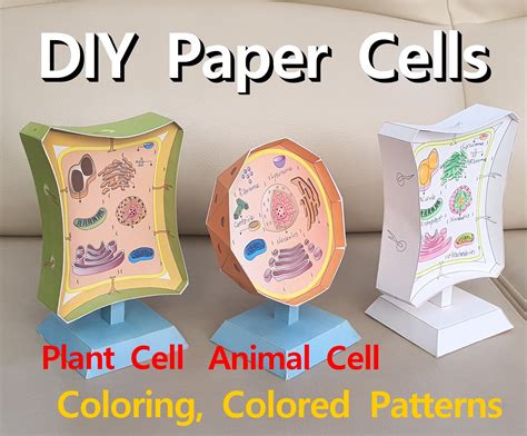 diy  paper cell models  paper animal cell paper plant etsy uk