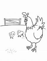 Hen Baby Coloring Chicks Farm Chick Eating Mother Their sketch template