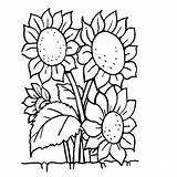 Coloring Sunflower Pages Kleurplaten Voor Van Bloemen Flowers Books Printable Afkomstig Nl Leuk Kids sketch template