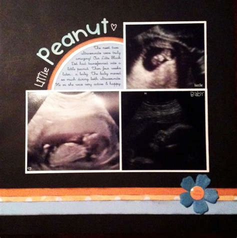 113 best images about pregnancy scrapbook ideas on pinterest its a girl pregnancy journal and