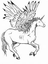 Pegacorn Unicorns Winged Pre10 Alicorns Referred sketch template