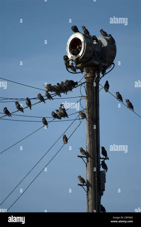 warning siren high resolution stock photography  images alamy