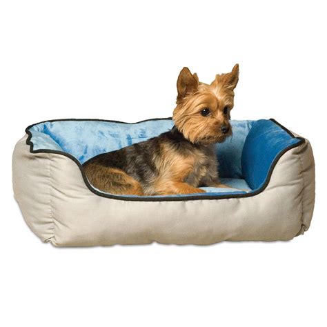 heated dog beds    pupper warm  winter daily paws
