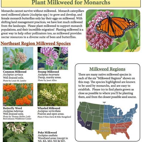 you can help stop the monarch butterfly massacre by