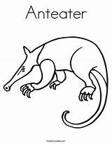 Anteater Coloring Pages Ant Eater Outline Twistynoodle Animal Print Giant Animals Noodle Built California Usa Twisty Choose Board sketch template