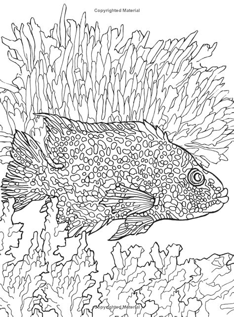 designs  coloring tropical fish ruth heller printable coloring