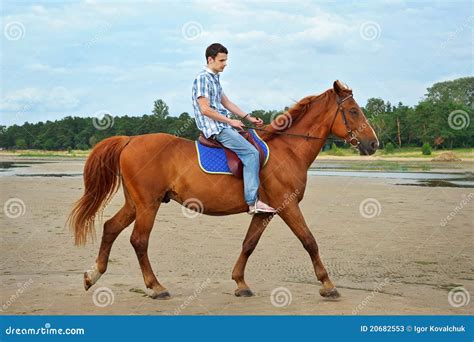 man riding  horse stock  image