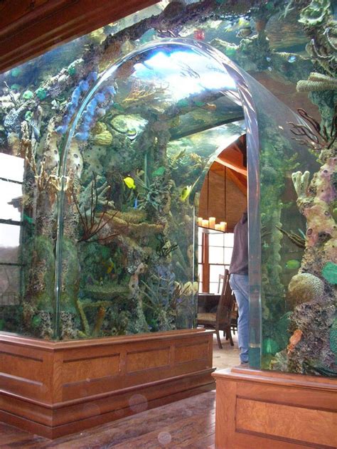 awesome fish tank ideas  gardenmagzcom home aquarium cool fish