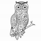 Owl Coloring Vector Book Adults Uil Kleurplaten Volwassenen Adult Zentangle Stock Clipart Illustration Mandala Hand Alexanderpokusay Illustrations Coloriage Drawn Pages sketch template
