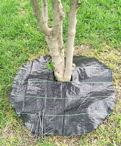 amazoncom agfabric easy plant weed block mulch tree mat weed