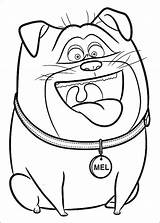 Life Pets Coloring Pages Getcolorings Secret sketch template